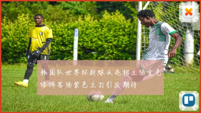 韩国队世界杯新球衣亮相主场金色修饰客场紫色主打引发期待